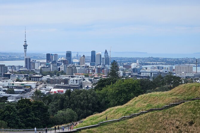 Auckland City Halfday Private Tour - Maungawhau / Mount Eden: the extinct volcano viewpoint stop