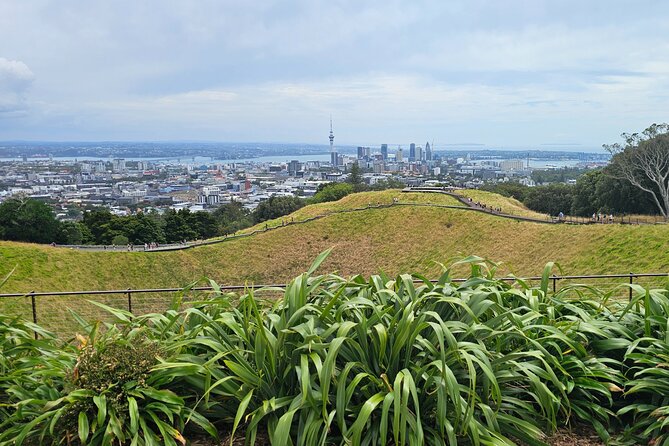Auckland City Halfday Private Tour - Guide impact: how private hosting shows up in real moments