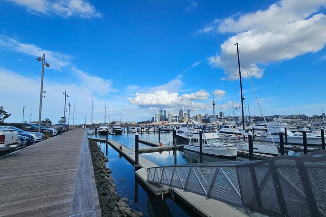 Auckland City Halfday Tour - Westhaven Marina: nearly 2,000 yachts and a simple promenade