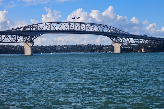 Auckland City Halfday Tour - Kauri Glen Reserve: native forest walking that feels worth it