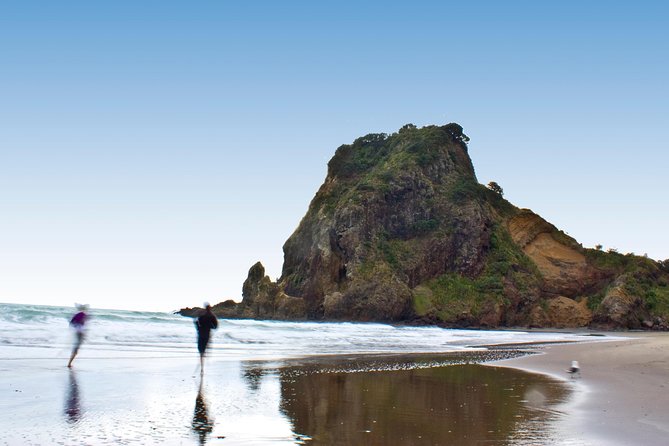 Auckland City Highlights, Afternoon Piha Beach & Rainforest Tour - Morning City Highlights: Queen Street to Ponsonby to the Harbour Bridge