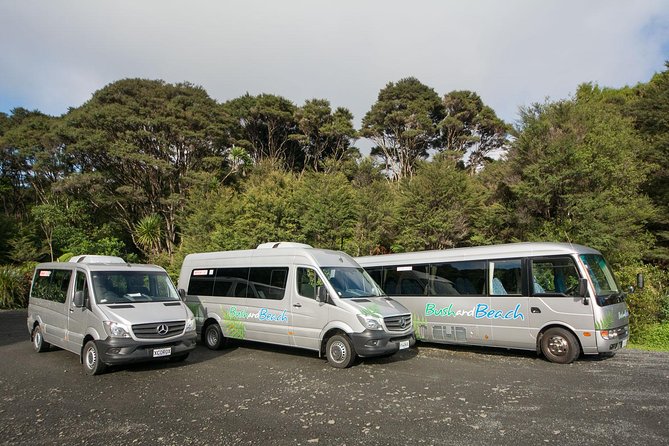 Auckland City Highlights, Afternoon Piha Beach & Rainforest Tour - Price and Value: Why $183.07 Can Make Sense for a One-Day Auckland Plan