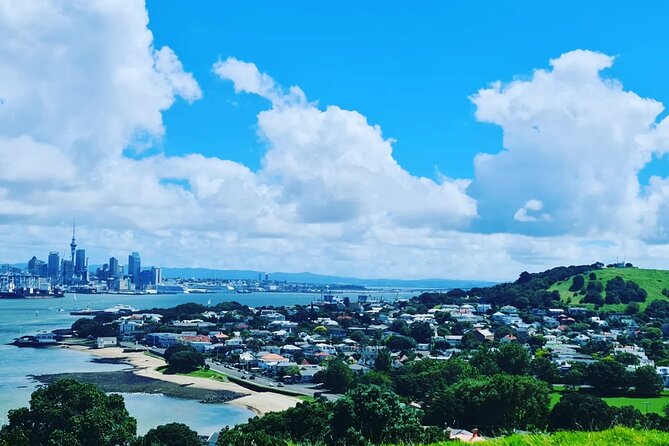 Auckland City Highlights Full Day Tour - Your guide and the small-group advantage