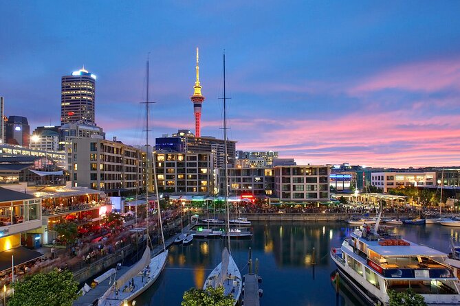 Auckland City Hotel to Cruise Ship Transfer by SUV - What the Reviews Emphasize Most