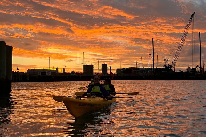 Auckland City Lights Night Kayaking Tour - Guides, Safety, and the Small Comfort Touches