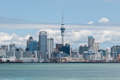 Auckland City & Native Forest Experience - Fully Guided Day Tour - Getting Around: Pickup, the 8-Hour Rhythm, and a Small-Group Minibus