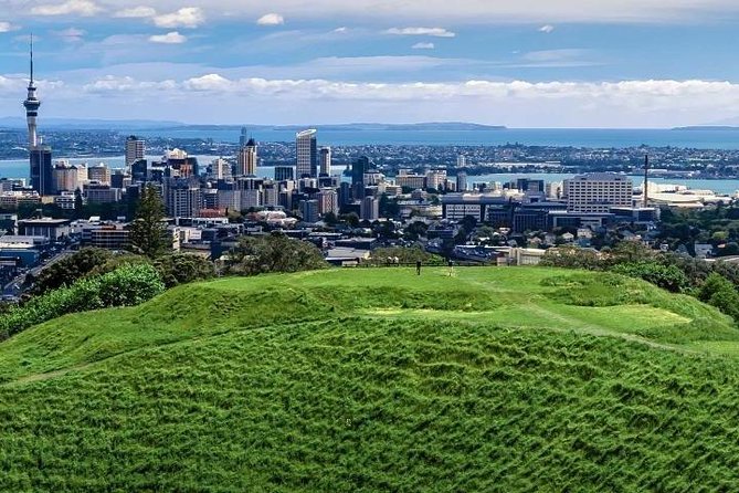 Auckland City Private Tour for Couples. Be chauffeur driven with added extras. - Downtown to West Haven Marina and Little Shoal Bay: Bridge Views From the Right Angles