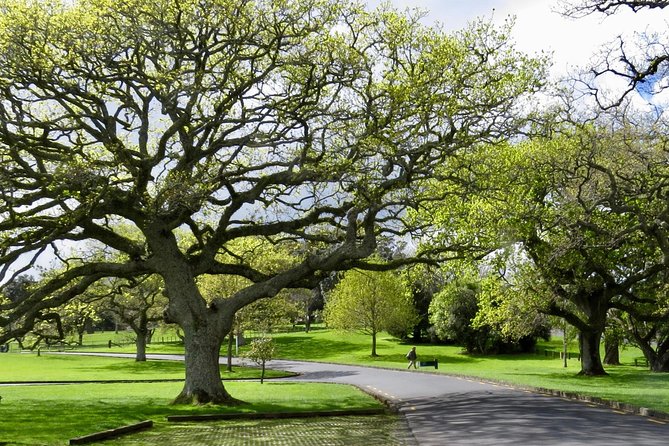 Auckland City Private Tour for Couples. Be chauffeur driven with added extras. - Devonport + North Head: Bayside Village Energy and a Longer Look