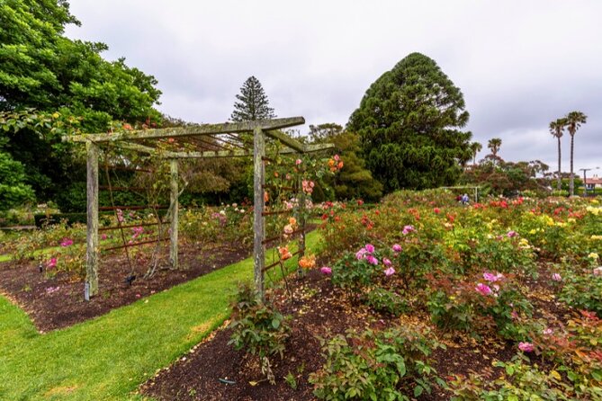 Auckland City Self Guided Walking Tour with an APP - Victoria Park and St Patrick’s Cathedral: green reset and architectural punch