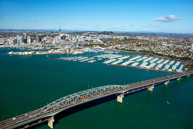 Auckland City Small-Group Morning Discovery Tour - Auckland Domain and Parnell: crater park and a city-fringe stop