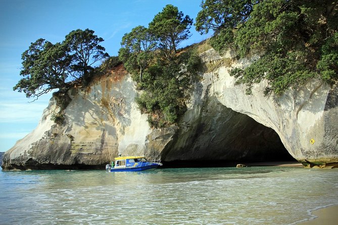 Auckland City to Auckland Airport transfers - Where you start and where you end in Auckland
