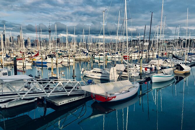 Auckland City Top Sights Half Day Tour - Small Group - Key Things You’ll Notice on This Half-Day Auckland Tour