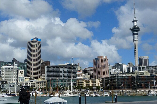 Auckland City Top Sights Half Day Tour - Small Group - Mount Eden (Maungawhau): The Quickest Way To A Big Panorama