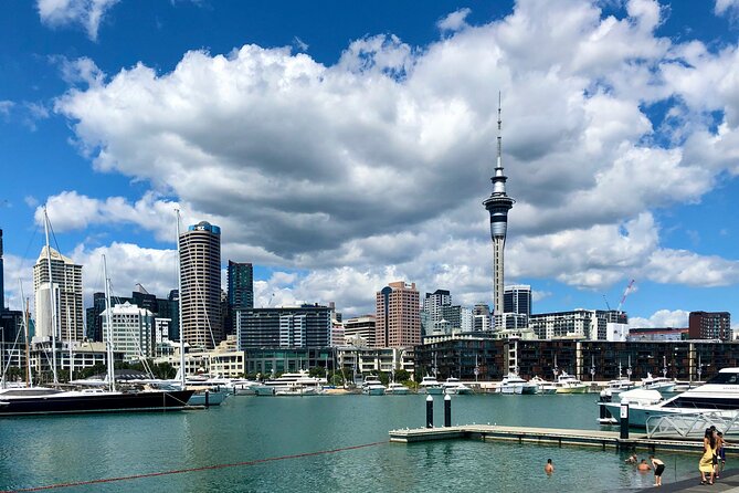 Auckland City Top Sights Half Day Tour - Small Group - North Head Historic Reserve Near Devonport: Harbour Views With Context