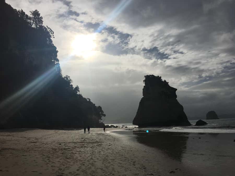 Auckland: Coromandel Day Tour including Hot Water Beach - Key takeaways before you go