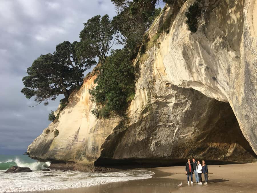 Auckland: Coromandel Day Tour including Hot Water Beach - Driving Creek Railway and the Eyefull Tower panoramas