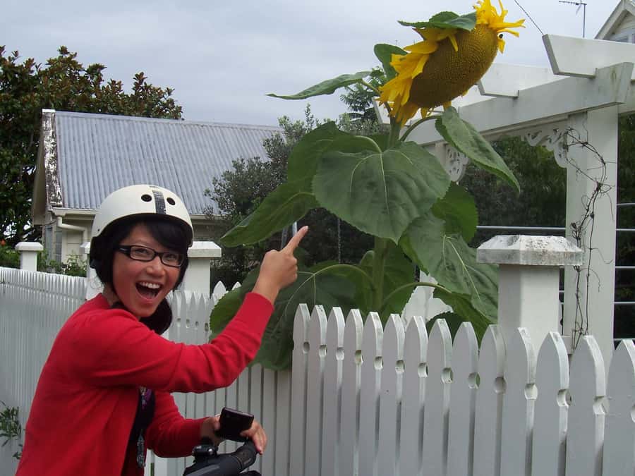 Auckland: Devonport Village Segway Tour - Key Things to Know Before You Ride