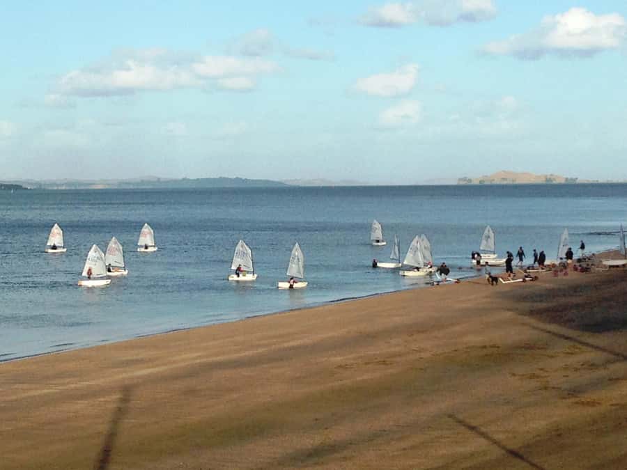 Auckland: Devonport Waterfront Segway - Who should book (and who should skip)