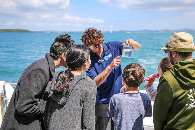 Auckland Dolphin and Whale Watching Eco-Safari Cruise - Stop by stop: how the route builds the experience (and what you’ll notice)