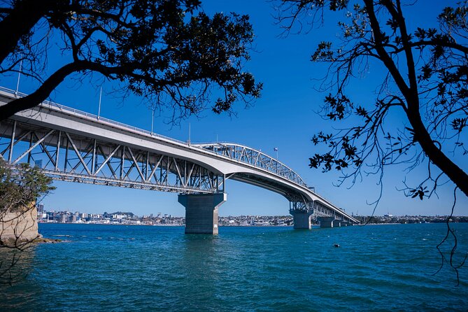 Auckland Full Day Attractions & Museums Tour - Auckland Harbour Bridge: Your Fast Start to City Geography