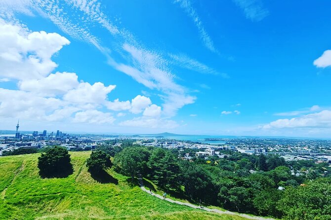 Auckland Full Day Attractions & Museums Tour - Winter Garden Auckland Domain: A Gentle Reset in the City’s Oldest Park