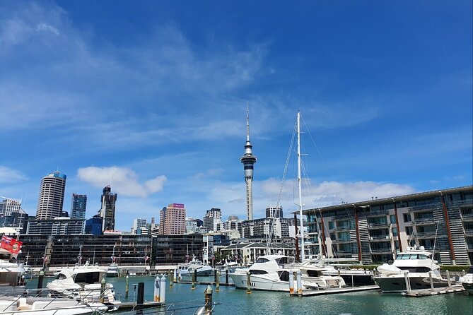 Auckland Full Day Attractions & Museums Tour - Achilles Point: A View Over the Hauraki Gulf