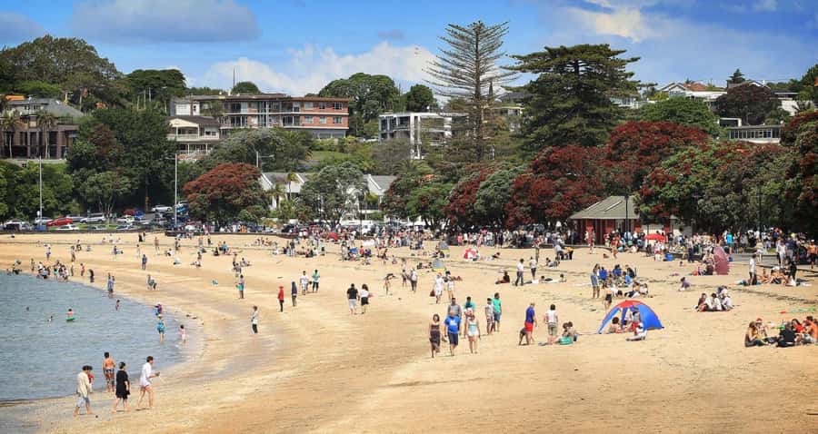 Auckland: Full-Day City Tour - Mission Bay: lunch time that actually fits sightseeing