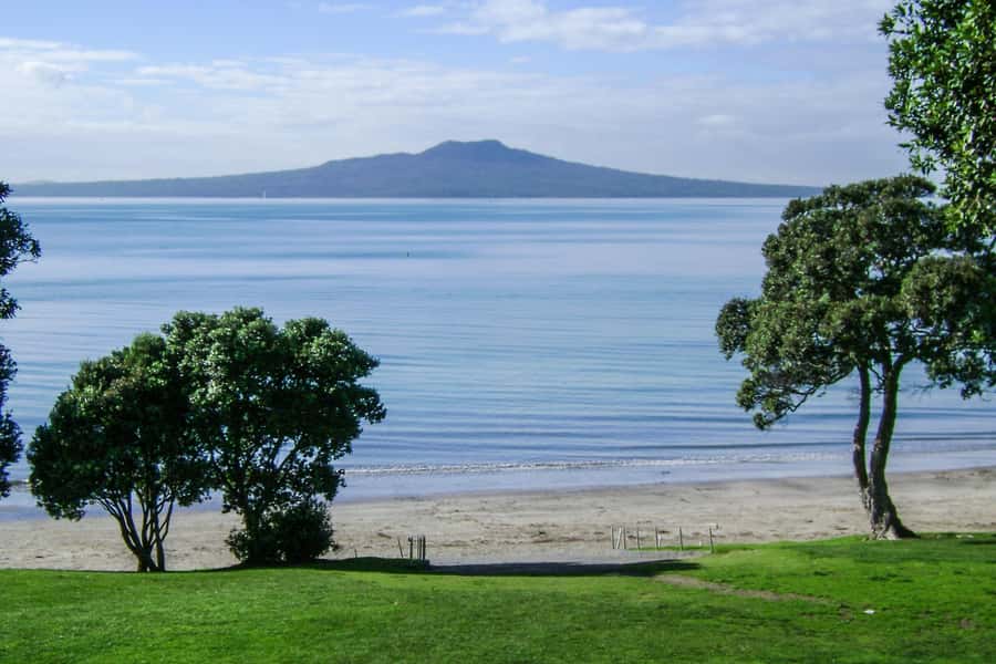 Auckland: Guided Small Group City Discovery Tour - Transport comfort and how to pack for a smooth 3 hours