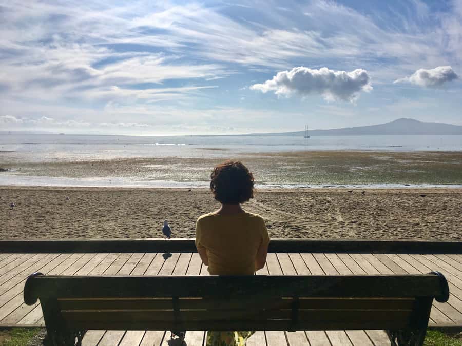 Auckland: Half-Day Auckland Volcanoes Tour - Pickup from Queens Wharf and the cruise-friendly rhythm