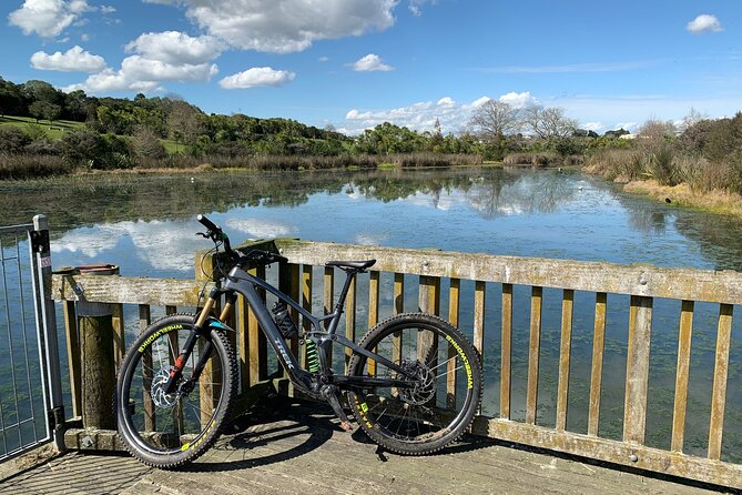 Auckland Half Day E-Bike Excursion - Starting at 136 Fanshawe Street: Waterfront + Harbour Bridge Moments