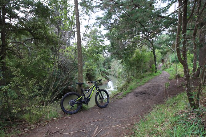 Auckland Half Day E-Bike Excursion - Henderson to Opunuku: Rivers, Streams, and the North-Western Cycleway Loop