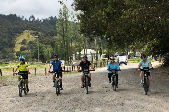 Auckland Half Day E-Bike Excursion - Who This Tour Suits Best