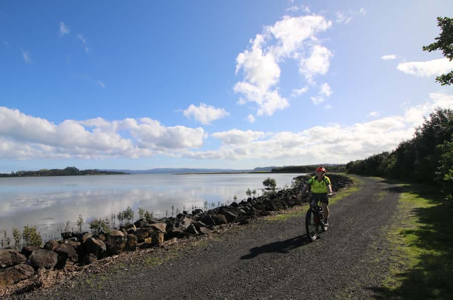 Auckland Half-Day Ebike Tour Excursion - Key things to know before you book