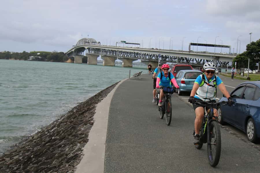 Auckland Half-Day Ebike Tour Excursion - Opunuku Stream Cycleway: where the ride connects to older Auckland