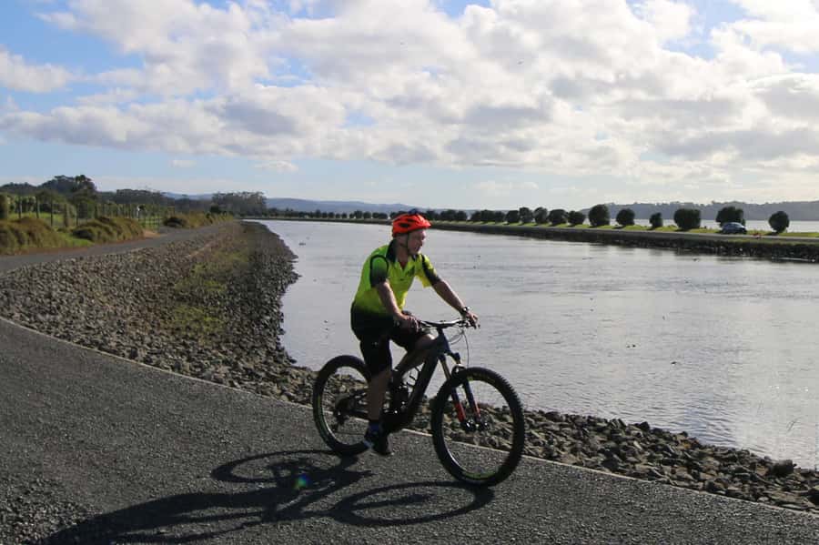 Auckland Half-Day Ebike Tour Excursion - Through older Western suburbs: the satisfying back-paths moment