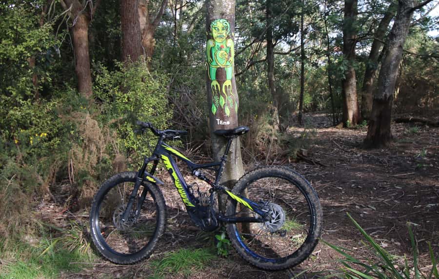 Auckland Half-Day Ebike Tour Excursion - Starting at 136 Fanshawe St: get your bearings fast