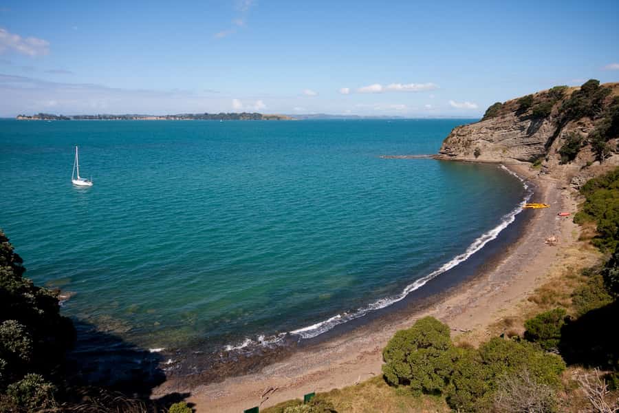 Auckland: Half-Day Sea Kayak Tour to Motukorea Island - Key highlights at a glance
