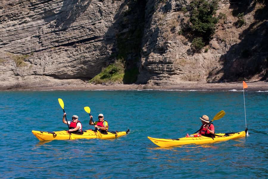 Auckland: Half-Day Sea Kayak Tour to Motukorea Island - Why Motukorea by sea kayak feels different than a ferry