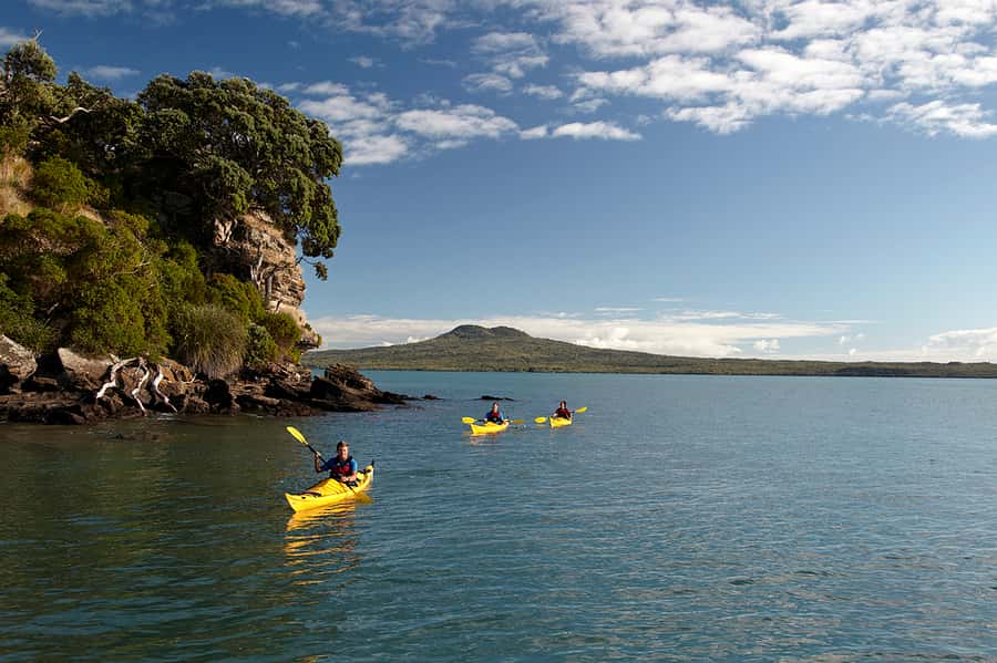 Auckland: Half-Day Sea Kayak Tour to Motukorea Island - Kayak setup and safety briefing that actually helps first-timers