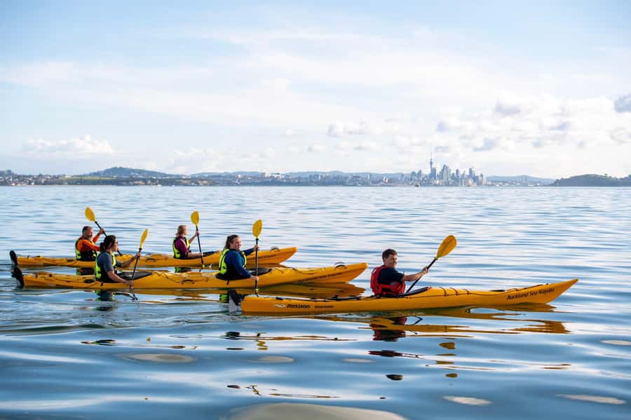 Auckland: Half-Day Sea Kayak Tour to Motukorea Island - Price and value: why $116 can make sense here