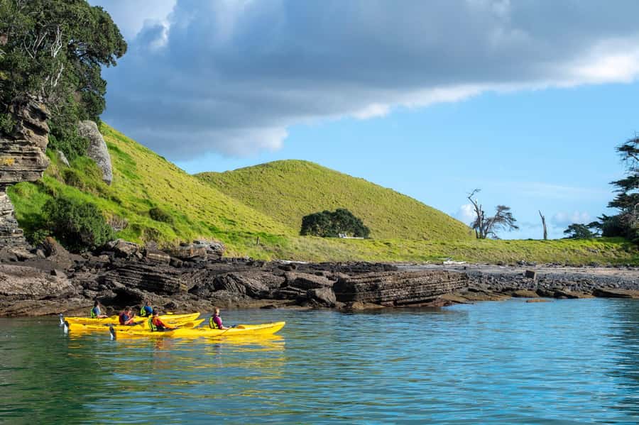Auckland: Half-Day Sea Kayak Tour to Motukorea Island - Who should book this (and who might want a different tour)