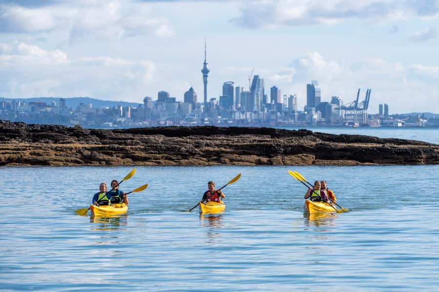 Auckland: Half-Day Sea Kayak Tour to Motukorea Island - Getting there without hassle: St Heliers meeting point and optional pickup