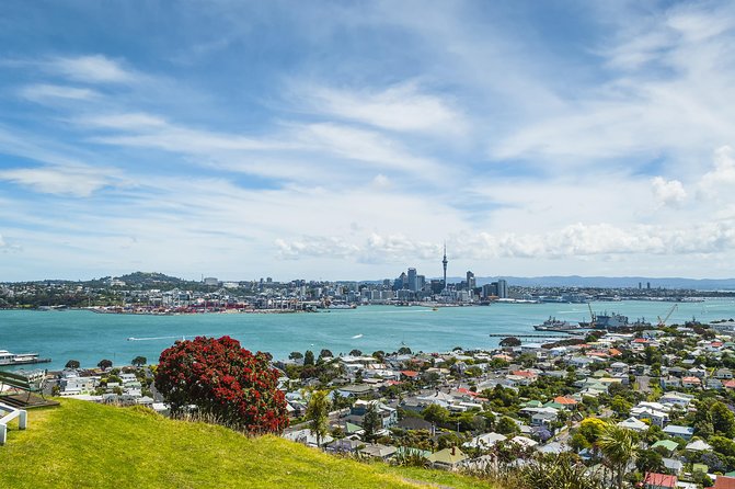 Auckland Harbour Cruise - Sky Tower, Bean Rock Lighthouse, and Devonport: A Skyline Tour With Teeth