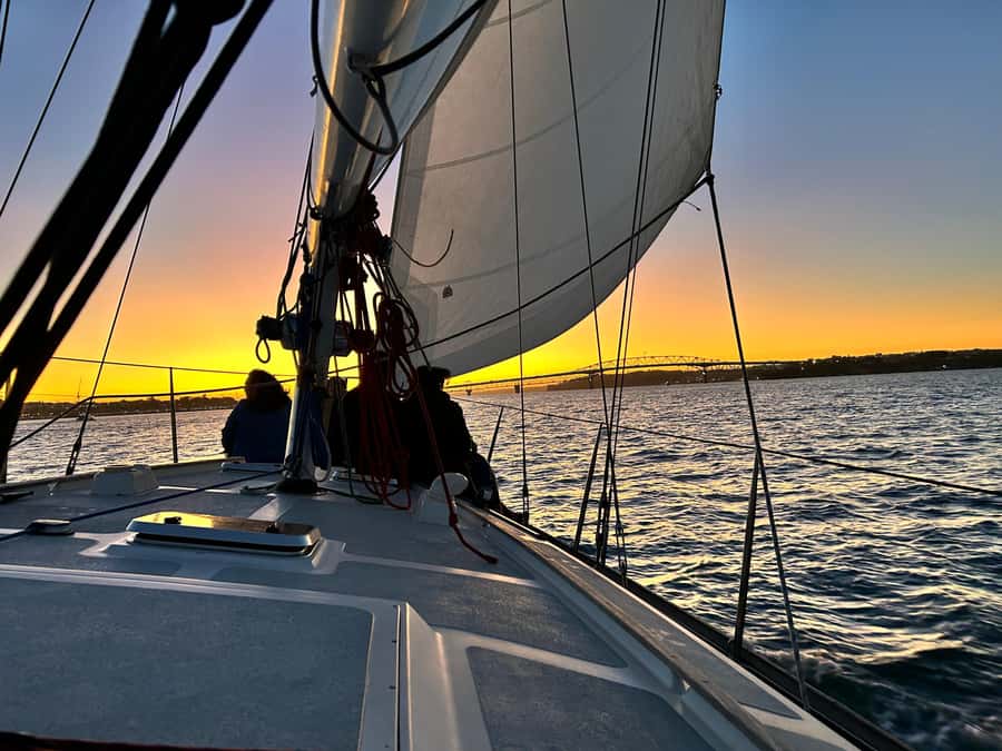 Auckland: Harbour Sailing Cruise with 3-Course Dinner - City views and local stories: what you’ll notice from the water