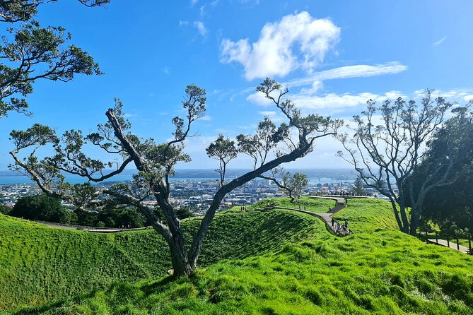 Auckland Hidden Gem Half Day Tour - Stop 1: Auckland Harbour Bridge, and the reasons it matters