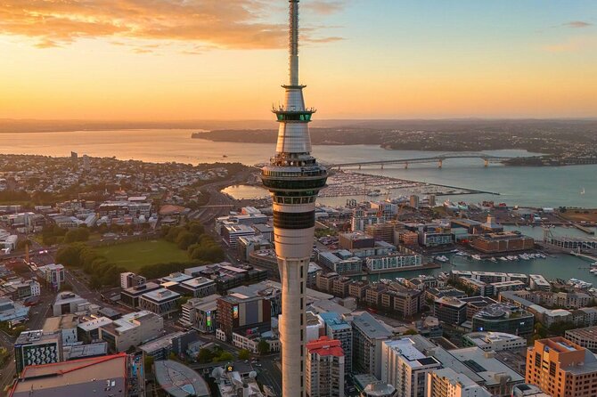 Auckland Highlight Attractions Small Group Tour - Auckland Harbour Bridge: the first big photo moment