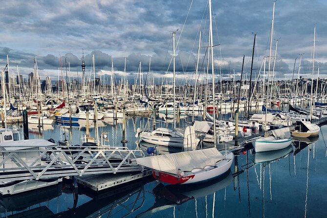 Auckland Highlight Attractions Small Group Tour - Price, included extras, and what $125 buys you