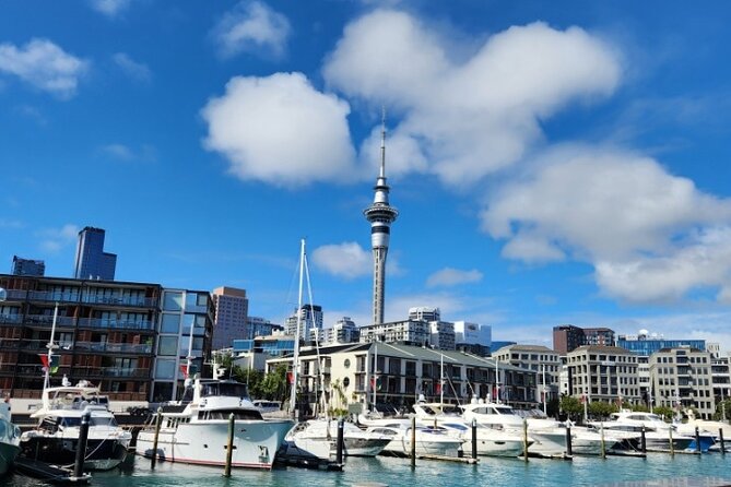 Auckland Highlights Full Day Guided Tour - Key highlights to know before you go