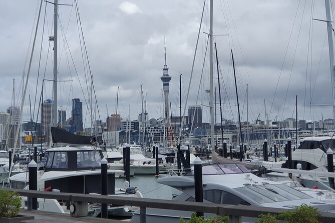 Auckland Highlights Full Day Guided Tour - Mt Eden (Maungawhau) Crater Views: The Stop That Changes How You See Auckland