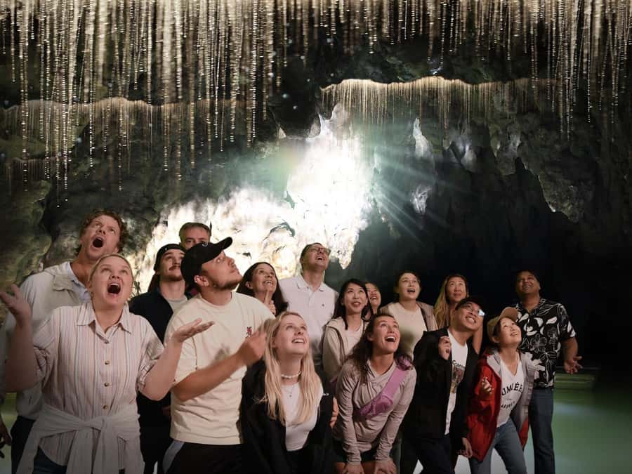 Auckland: Hobbiton & Waitomo Caves Small-Group Tour & Lunch - Price and value: what you’re paying for at $226 per person
